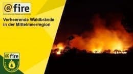 @fire – Internationaler Katastrophenschutz Griechenland