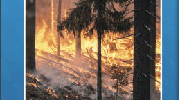 Vegetationsbrände - Merkblatt für die Feuerwehren Bayerns