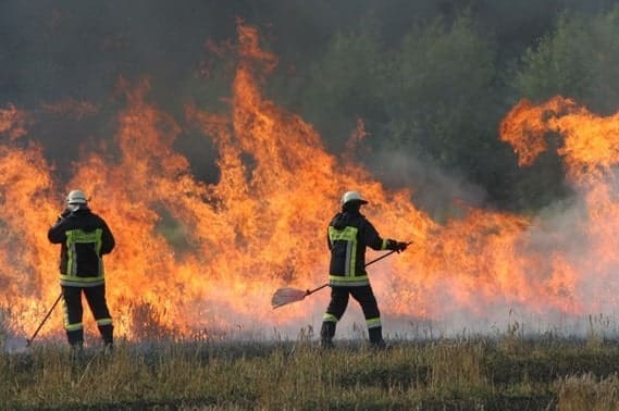 Flächenbrand