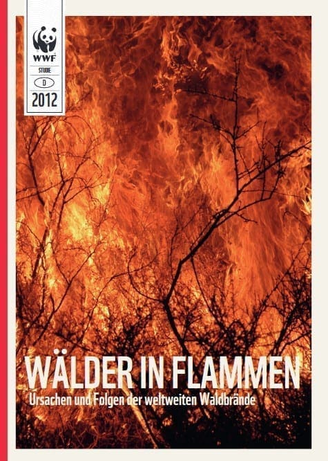 Waldbrand