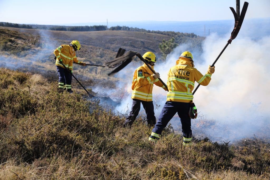 @fire – Internationaler Katastrophenschutz Ausbildung im Ausland