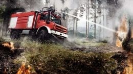 @fire – Inteernationaler Katastrophenschutz Wipfelfeuer