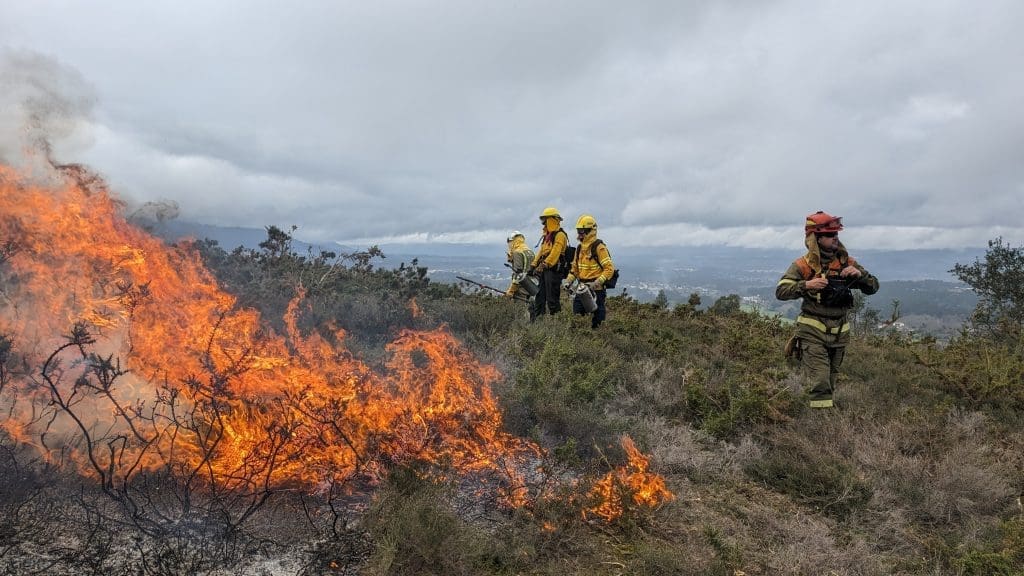 @fire - Internationaler Katastrophenschutz Feuerökologie Portugal