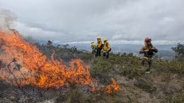@fire - Internationaler Katastrophenschutz Feuerökologie Portugal