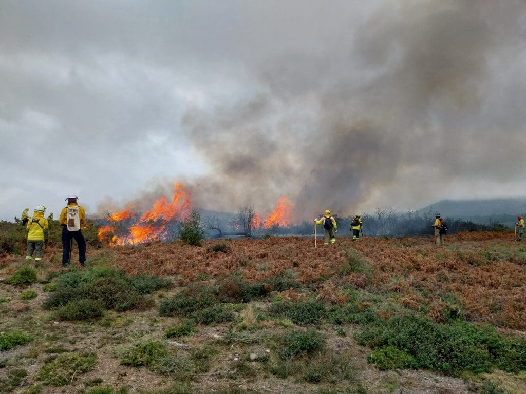 @fire - Internationaler Katastrophenschutz Feuerökologie Portugal