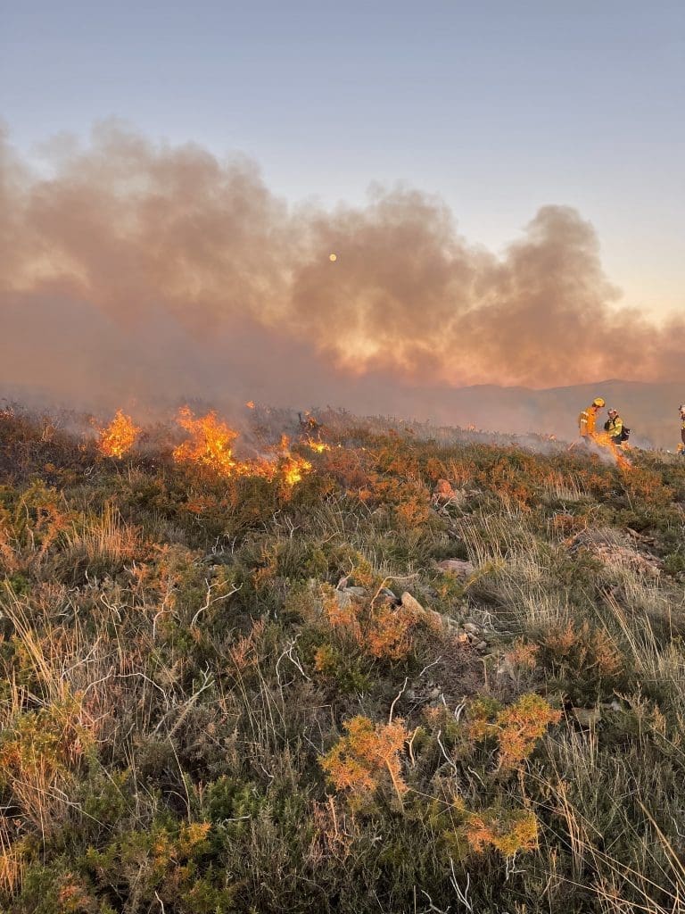 @fire - Internationaler Katastrophenschutz Feuerökologie Portugal