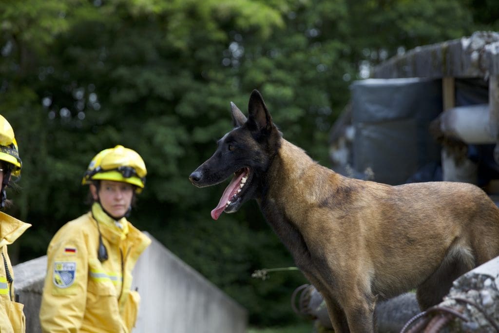 @fire USAR-Übung "Achilles24" in der Schweiz