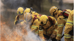 @fire Jahresbericht 2024 Vorschaubild