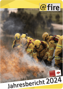 @fire Jahresbericht 2024 Vorschaubild